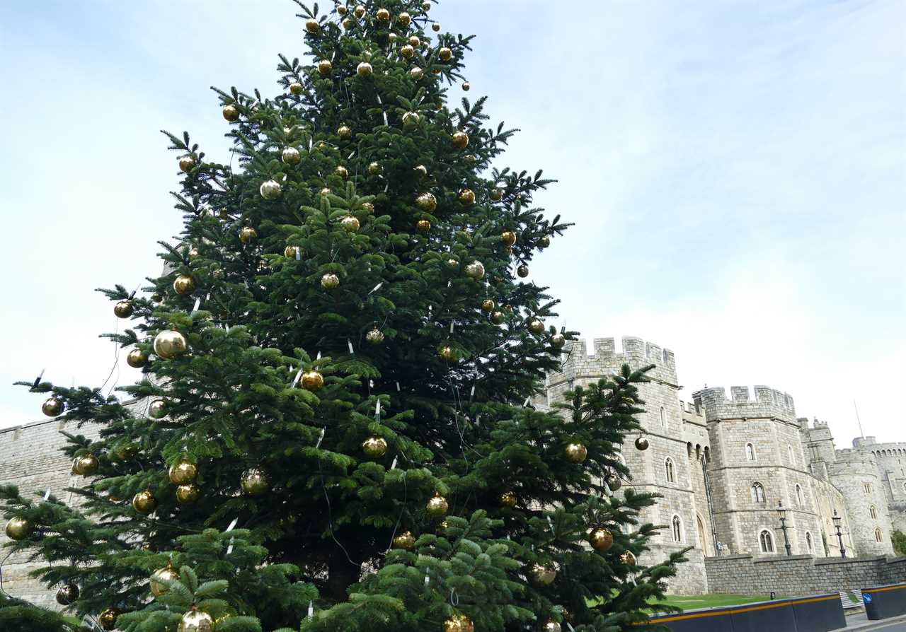 Windsor Castle is said to be the monarch's favourite residence when not on her summer holiday at Balmoral 