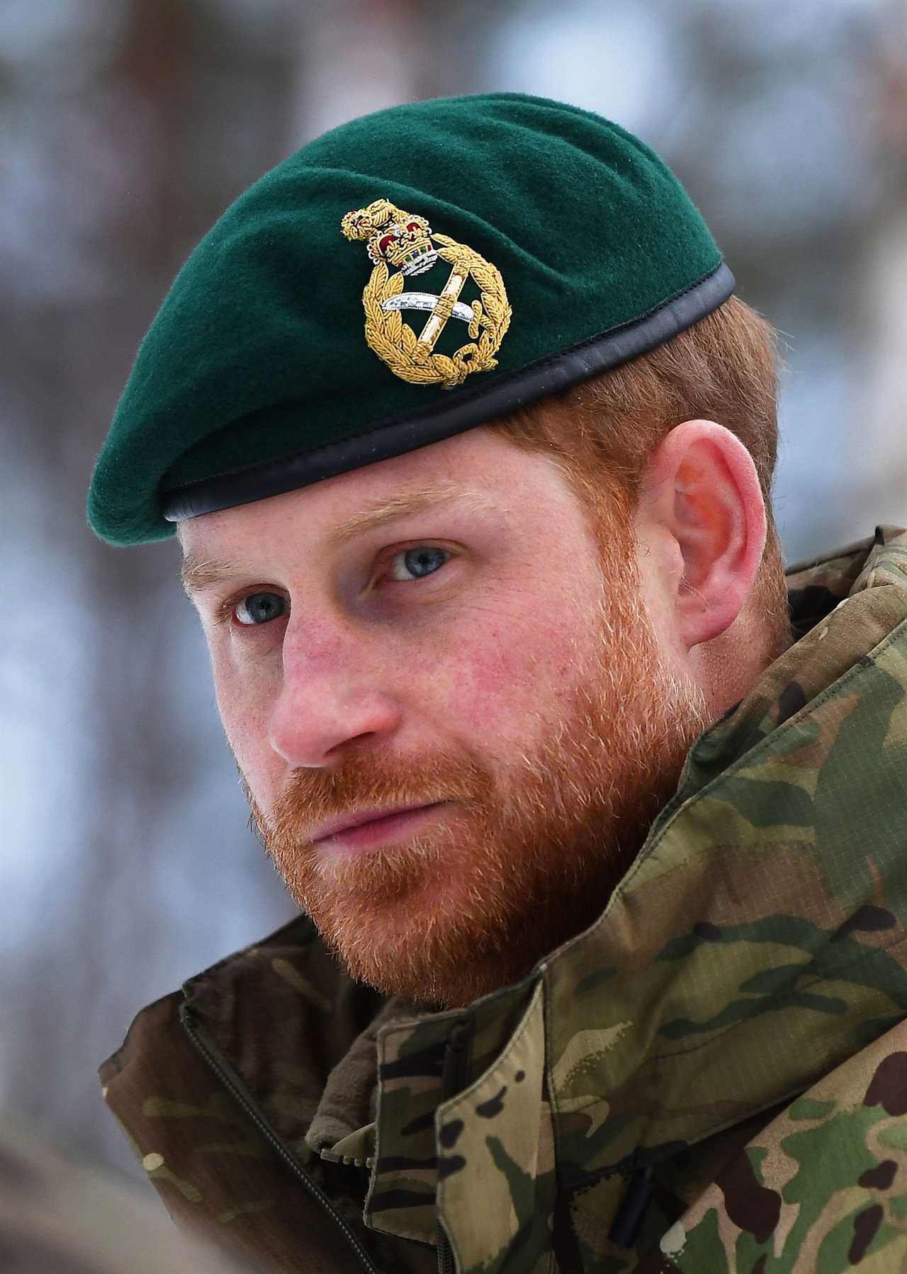 Prince Harry served in the Army for ten years, rising to the rank of Captain and doing two tours of Afghanistan