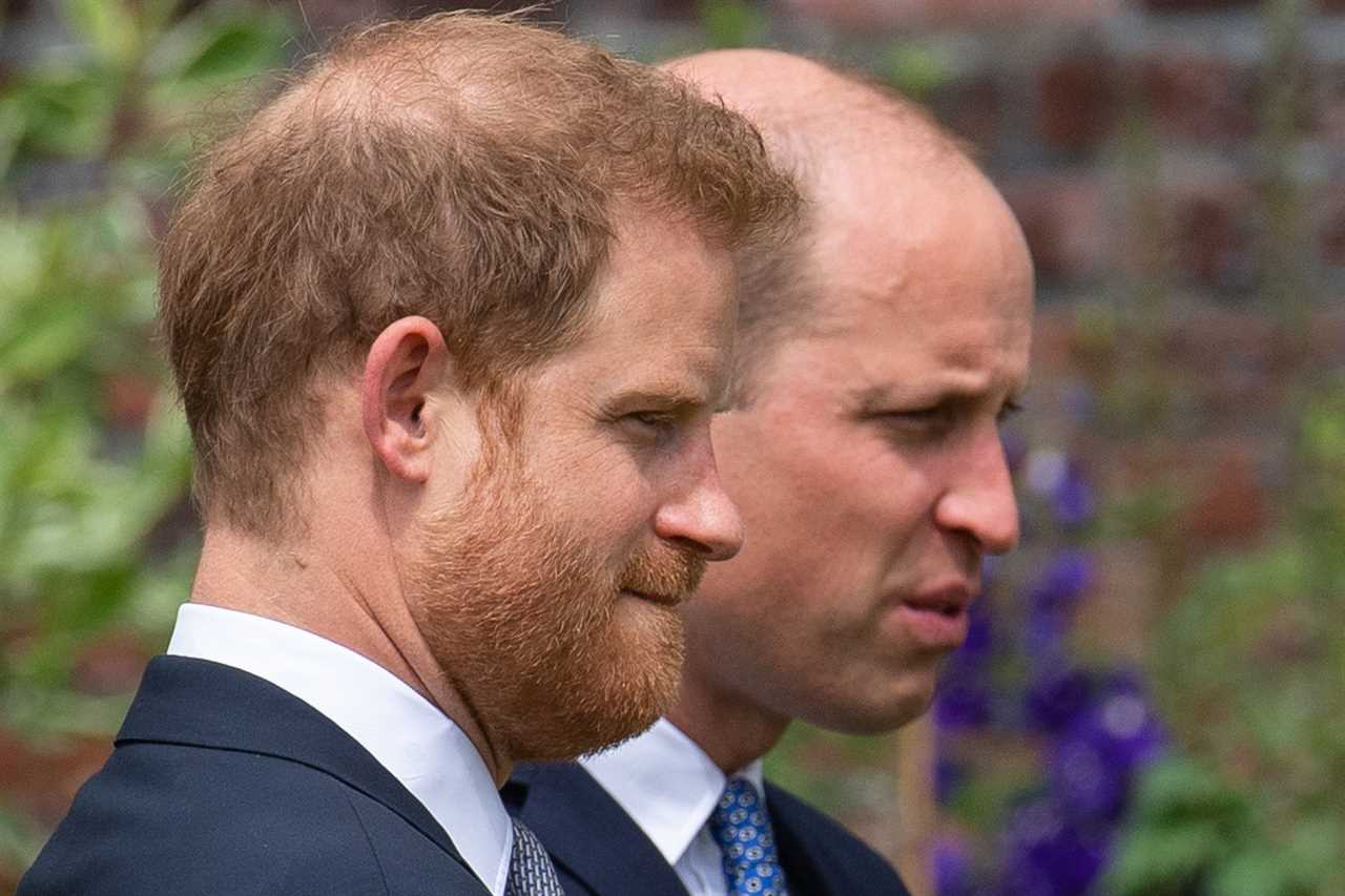 William's staff allegedly planted stories about Prince Harry