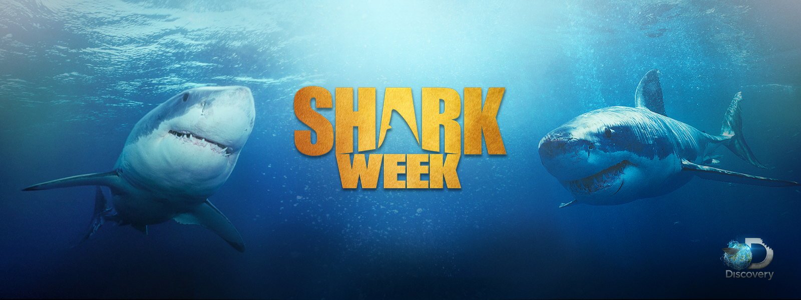 Shark Week Schedule Channel Start Time And Full