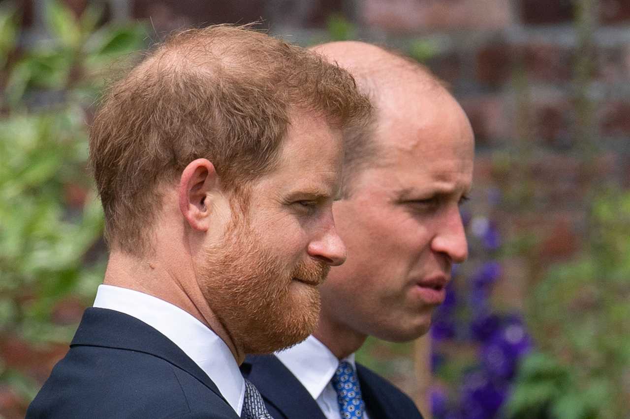 The last time the princes met face-to-face was at the unveiling of a statue of their late mother, Princess Diana