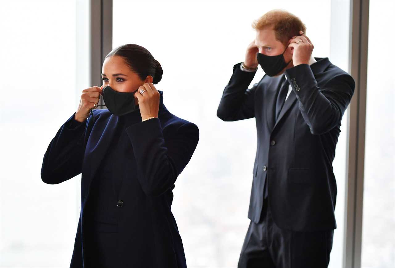 The Sussexes put their masks back on after the photos were taken