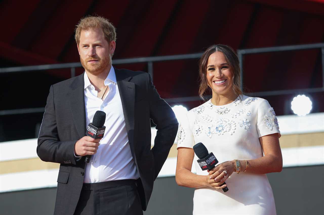 Harry and Meghan have returned home by private jet after their three-day 'royal style' tour