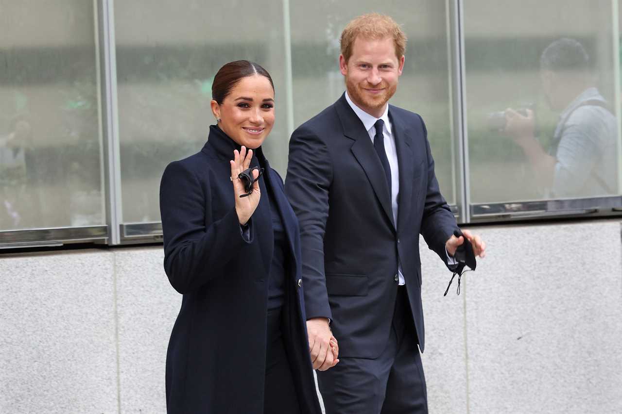 Meghan Markle and Prince Harry know 'zero' about finance, an expert has blasted 