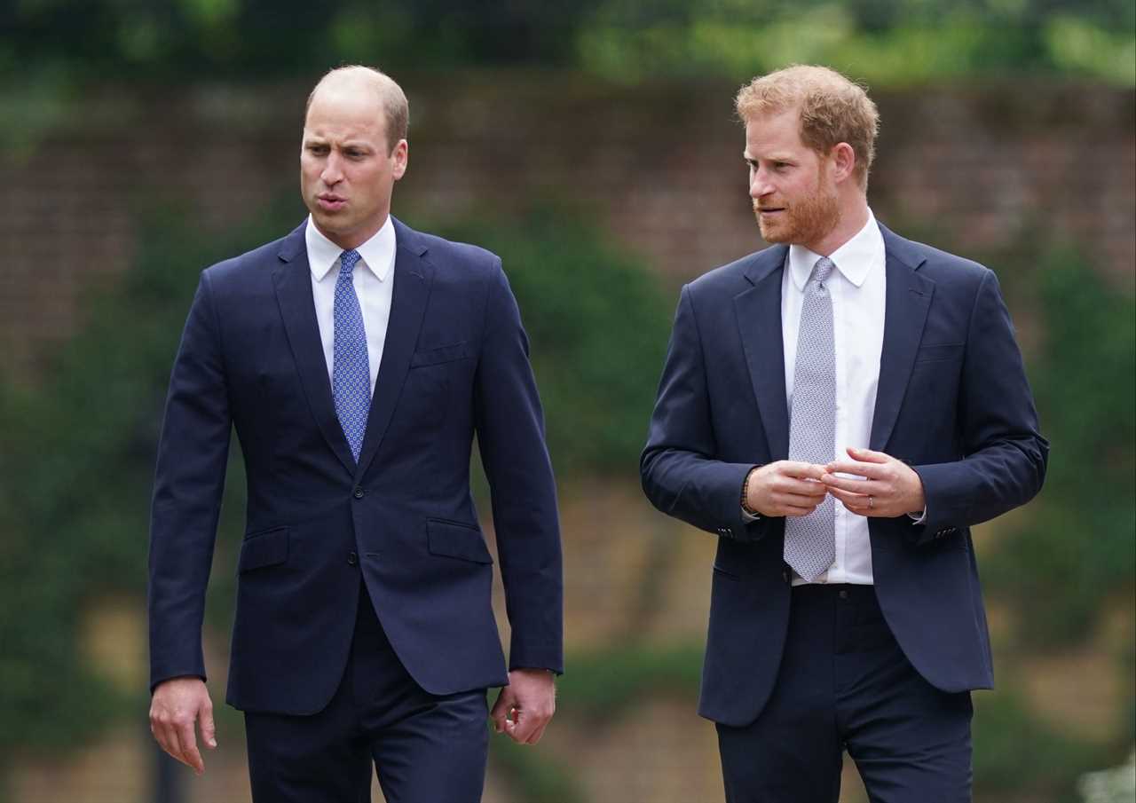 Prince William and Prince Harry were seen chatting and laughing together