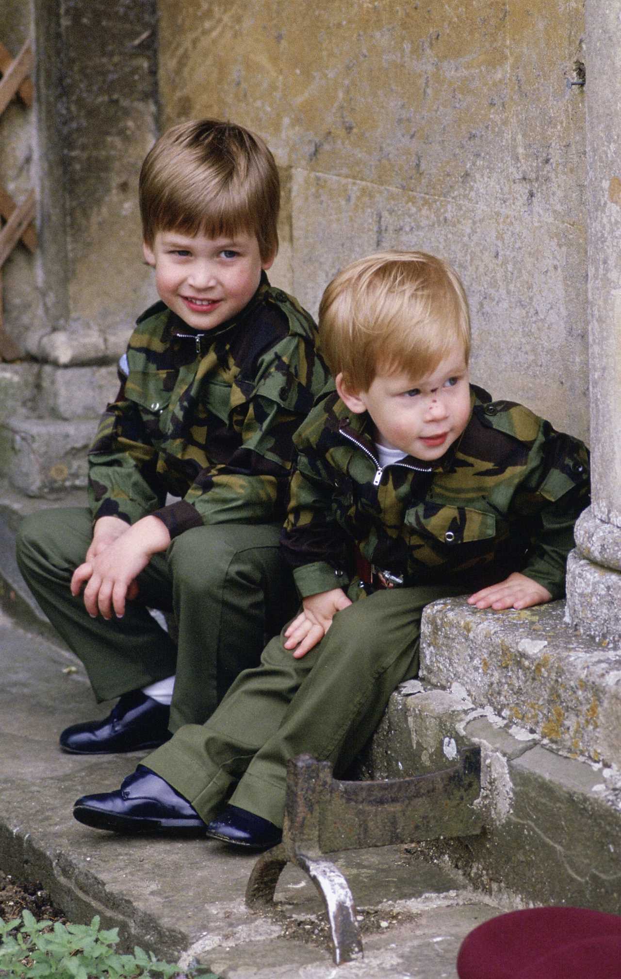 PRINCE William gained the nickname of His Naughtiness when he was little and would stick his tongue out at people, claims a royal author. 