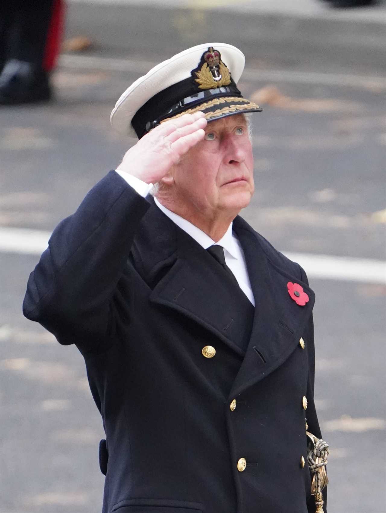 A sombre Prince Charles salutes the fallen