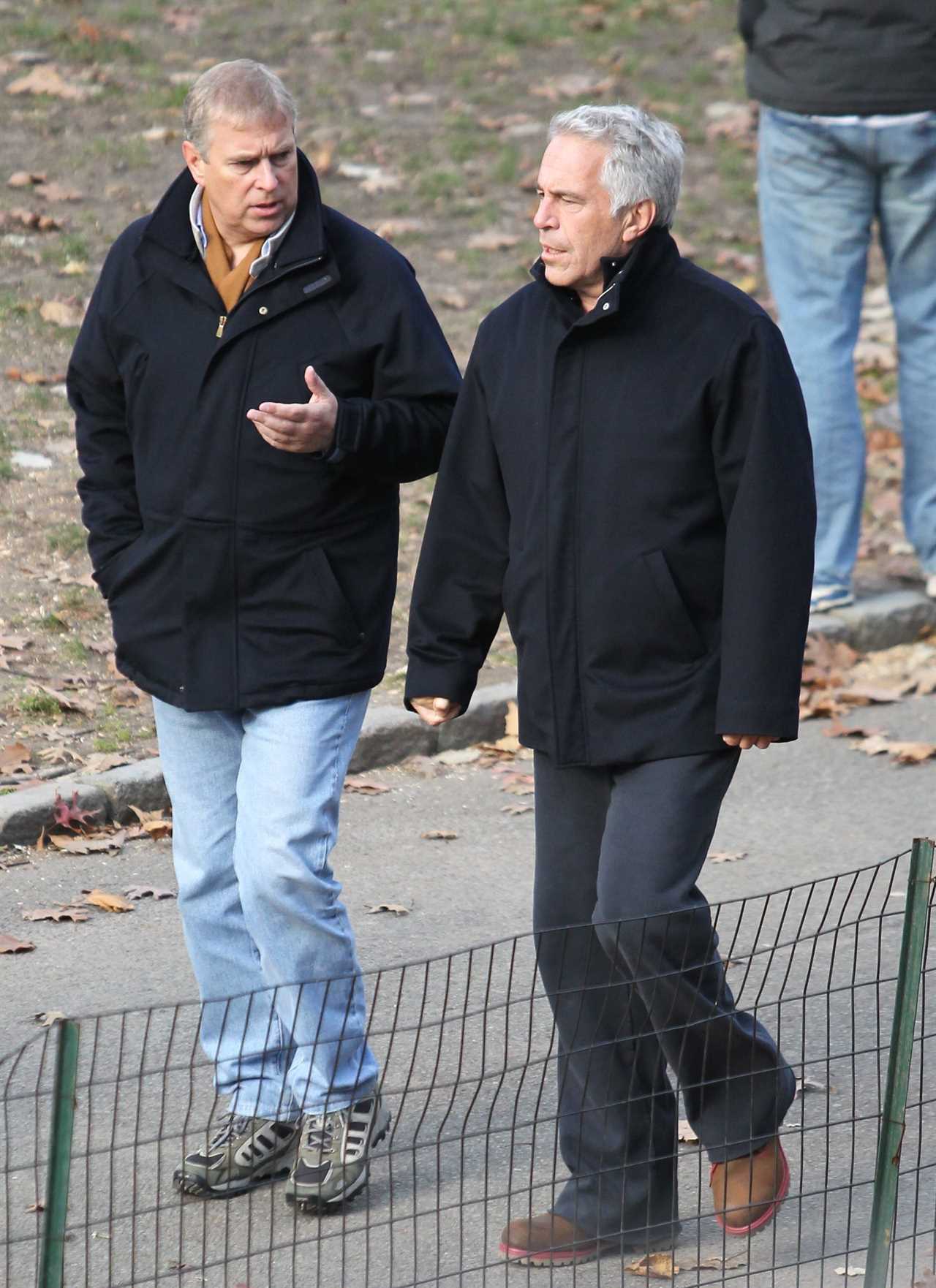 Epstein pictured going for a stroll with Prince Andrew in New York