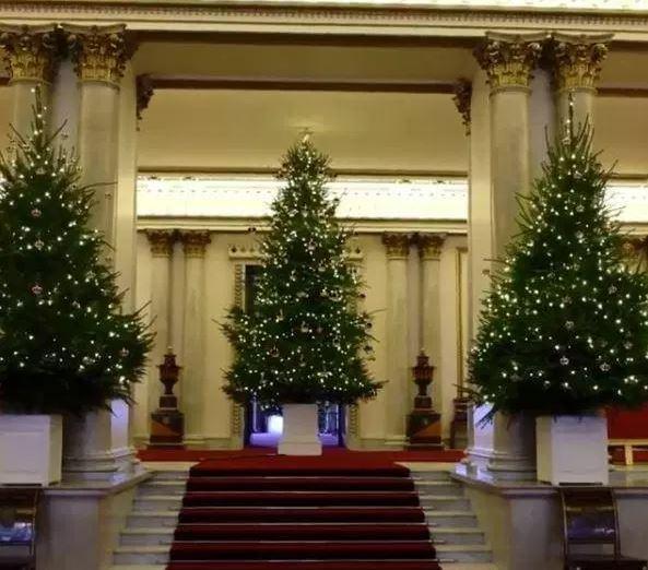 There are three large Christmas trees in Buckingham Palace's Marble Hall