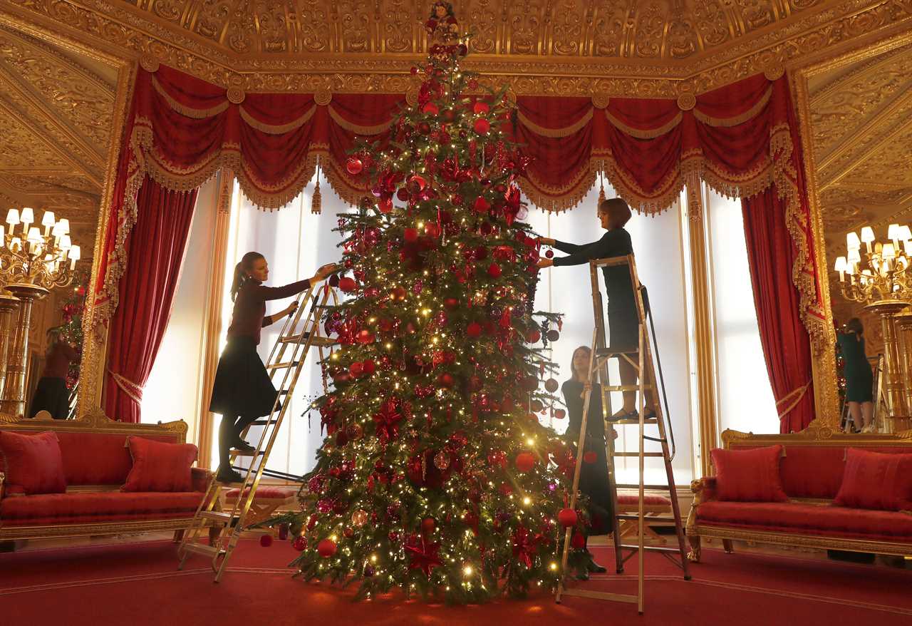 The Queen has got in Christmas spirit today and a 15ft Nordmann Fir tree was erected in the Crimson Drawing Room in Windsor Castle