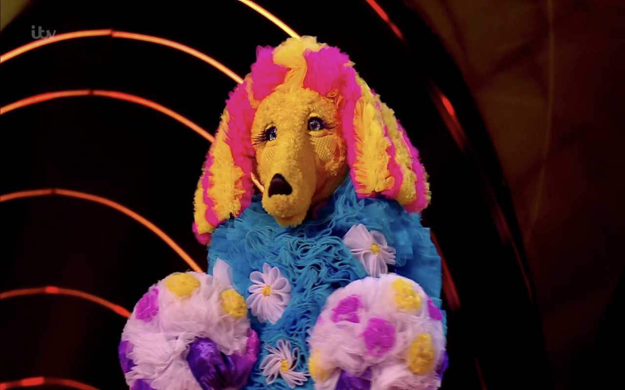 The Masked Singer's Poodle has made it through to next week