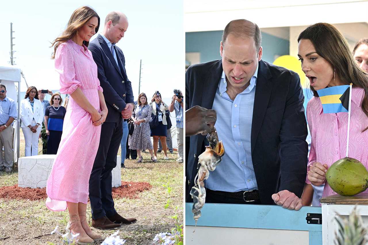 Prince William and Kate Middleton vow to carry out royal revolution and run affairs their way after Caribbean tour anger