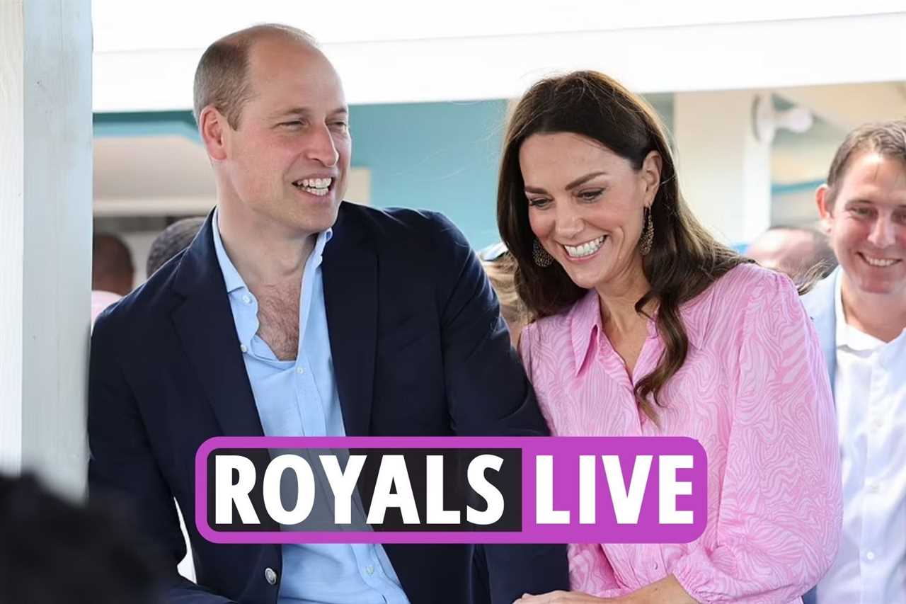 Prince William ‘made dig at brother Harry’ with ‘not telling people what to do’ comment, royal expert claims