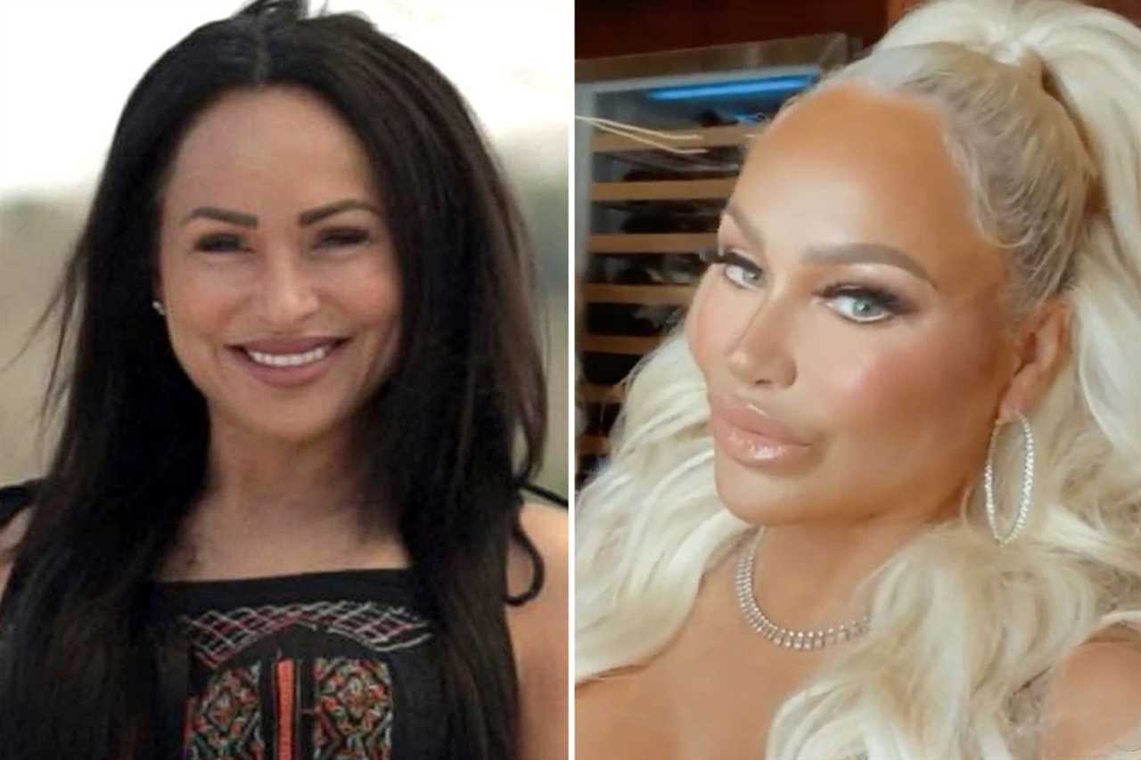 90 Day Fiance stars Darcey and Stacey Silva shock fans with ‘unrecognizable’ after major plastic surgery makeovers