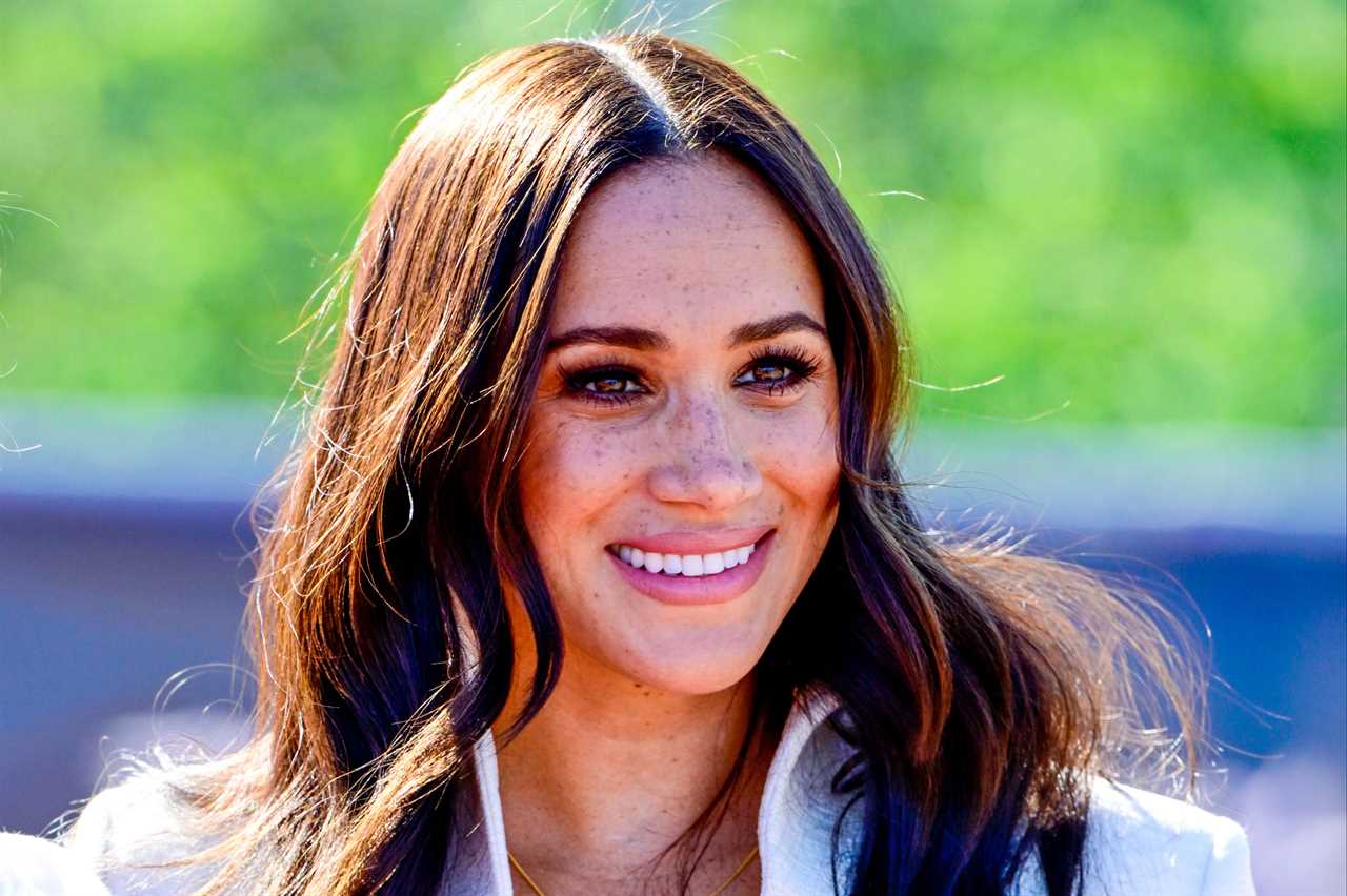 Meghan Markle was ‘desperate for prestige’ when she snared ‘mentally fragile’ Prince Harry, bombshell new book claims