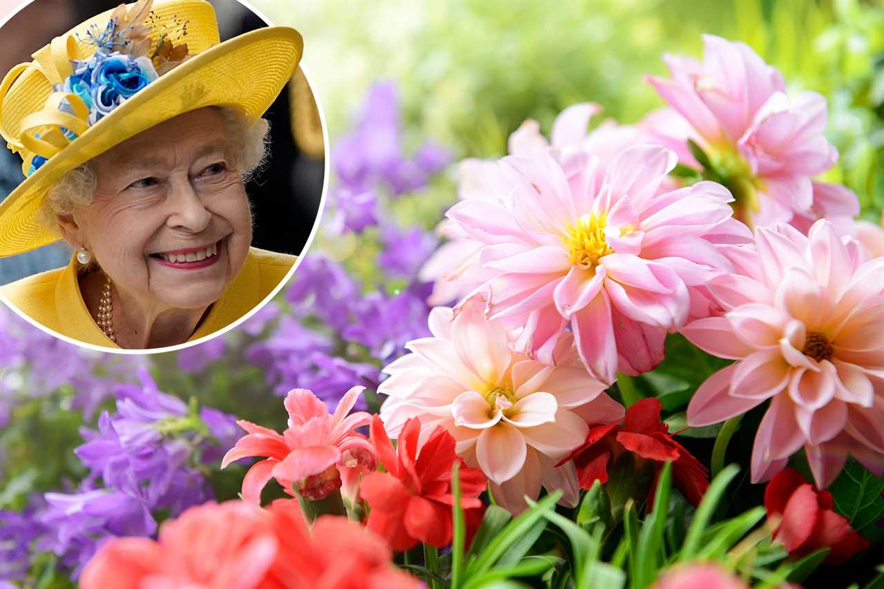 The Queen is looking for a gardener to mow the lawns at Windsor Castle – and you’ll get paid £20k