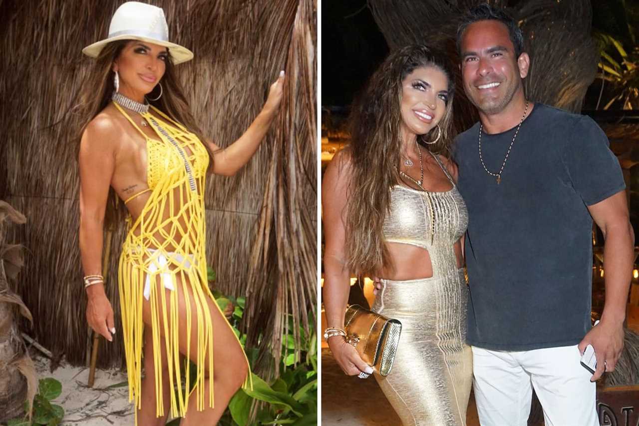 RHONJ star Teresa Giudice’s fiance Luis Ruelas accused of ‘pushing ex-wife into a metal pole’ in uncovered police report
