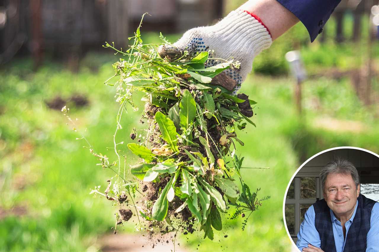 Love Your Garden’s Alan Titchmarsh under fire after blow-drying a chicken