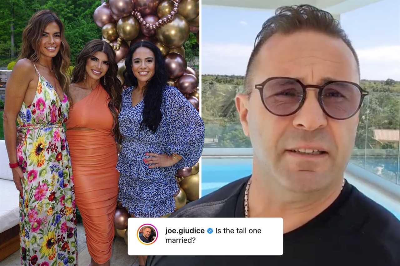 RHONJ’s Joe Gorga SNUBBED sister Teresa Giudice’s housewarming party after a ‘heated altercation’ with her fiance Luis