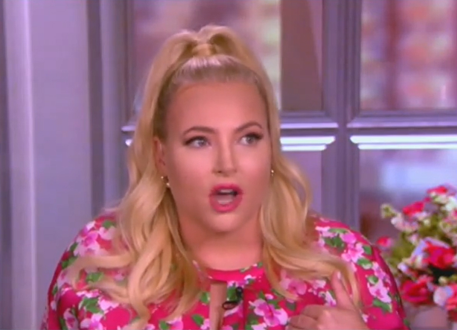 The View’s Meghan McCain rips Nick Cannon for his ‘impregnate the planet’ mentality as star is ‘expecting his 9th child’