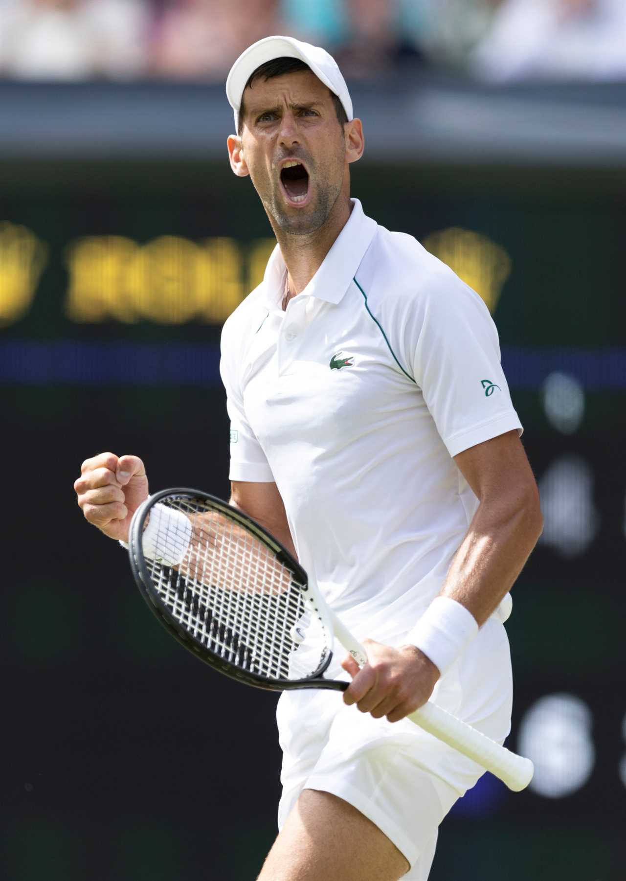 Novak Djokovic wins seventh Wimbledon title after F-bomb dropping Nick Kyrgios goes into meltdown following fast start