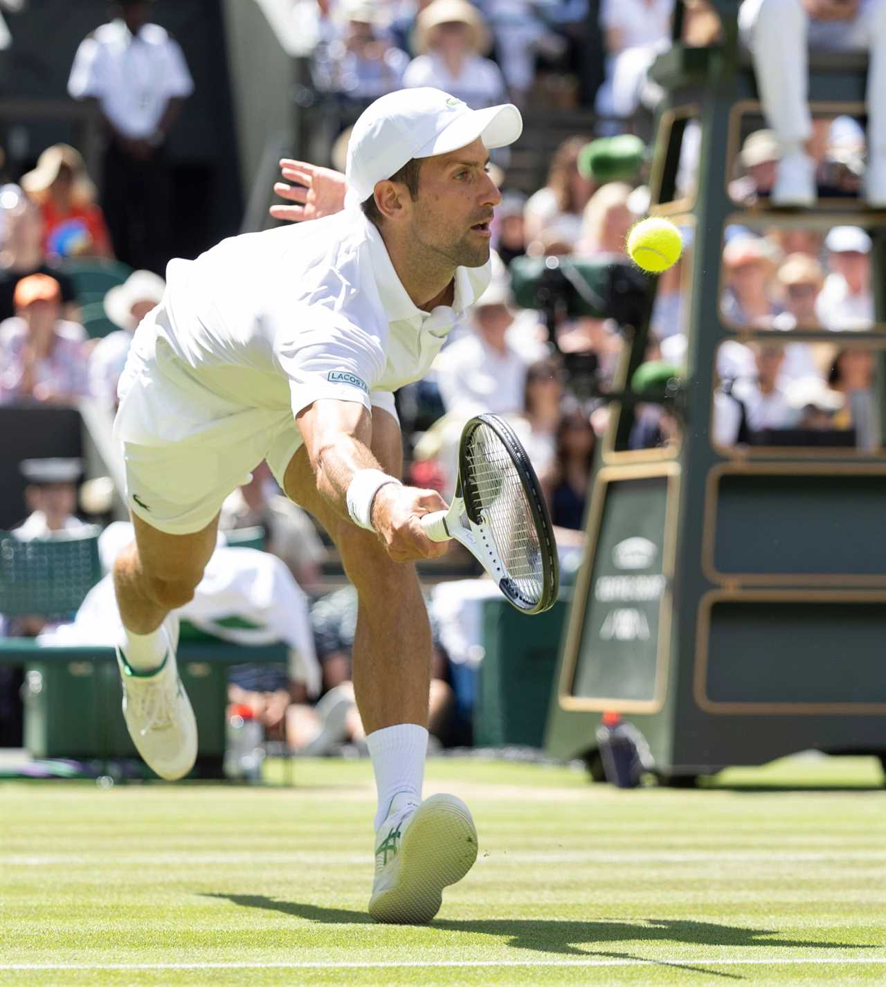 Novak Djokovic wins seventh Wimbledon title after F-bomb dropping Nick Kyrgios goes into meltdown following fast start