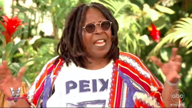 The View fans beg bosses to bring back ‘favorite’ co-host after demanding Whoopi Goldberg be ‘fired’ for TV blunders