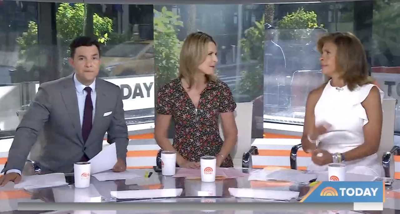 Today fans point out ‘awkward tension’ on live show after claims Hoda Kotb and Savannah Guthrie are feuding