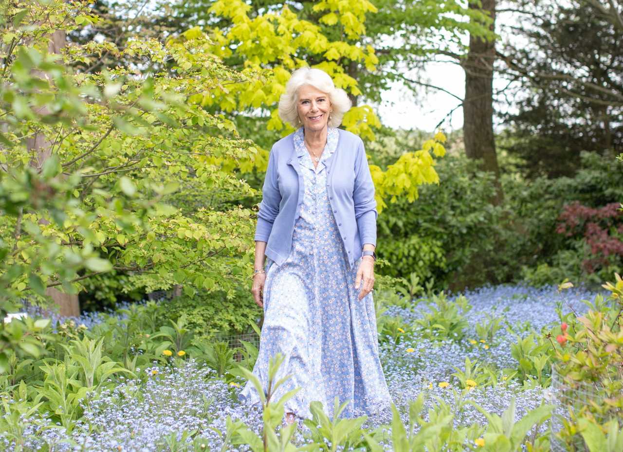 I’m a royal expert – how Camilla, Duchess of Cornwall has transformed her image from pariah to popular royal