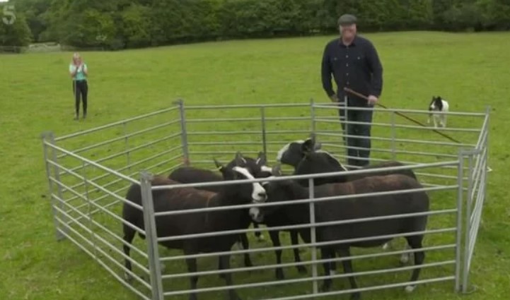 The Great Yorkshire Show viewers switch off as they blast programme hosted by Emmerdale’s Paddy ‘unwatchable’