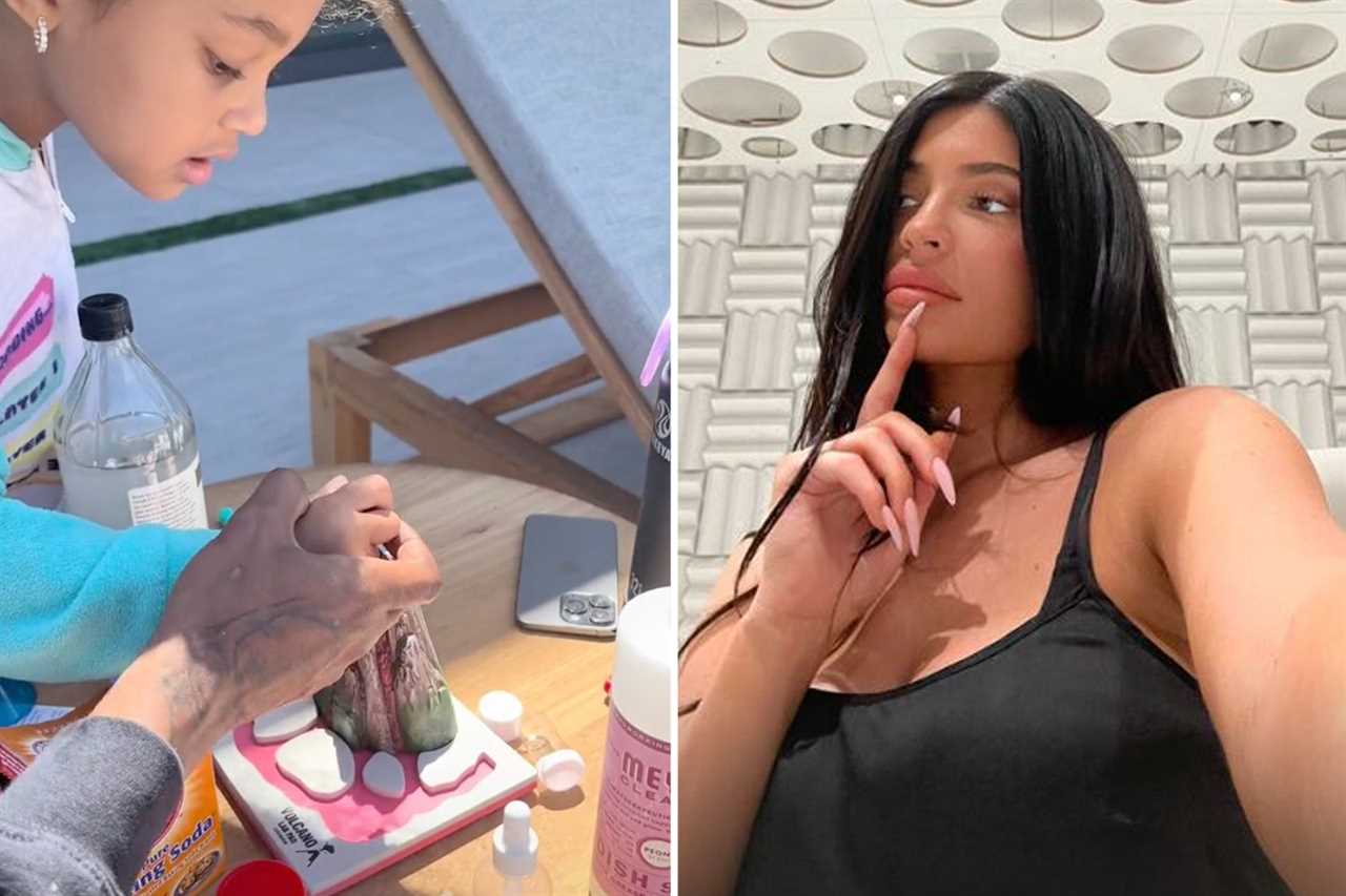 Kardashian fans slam Kylie Jenner as ‘gross’ for ‘flaunting’ $72M private jet in rare photo with baby daddy Travis Scott