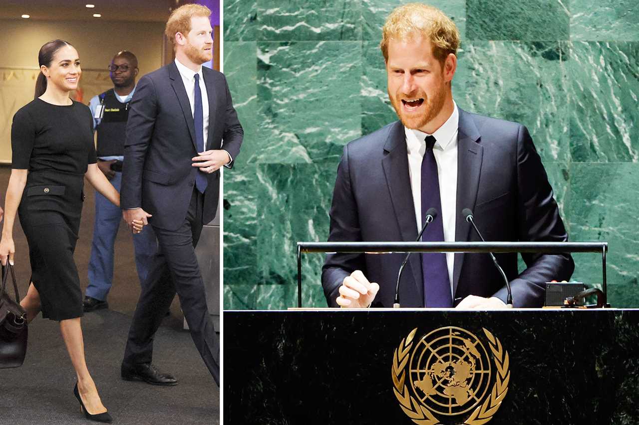 Meghan Markle & Prince Harry heckled as they arrive at UN to wade into politics – amid claims he only did talk for money