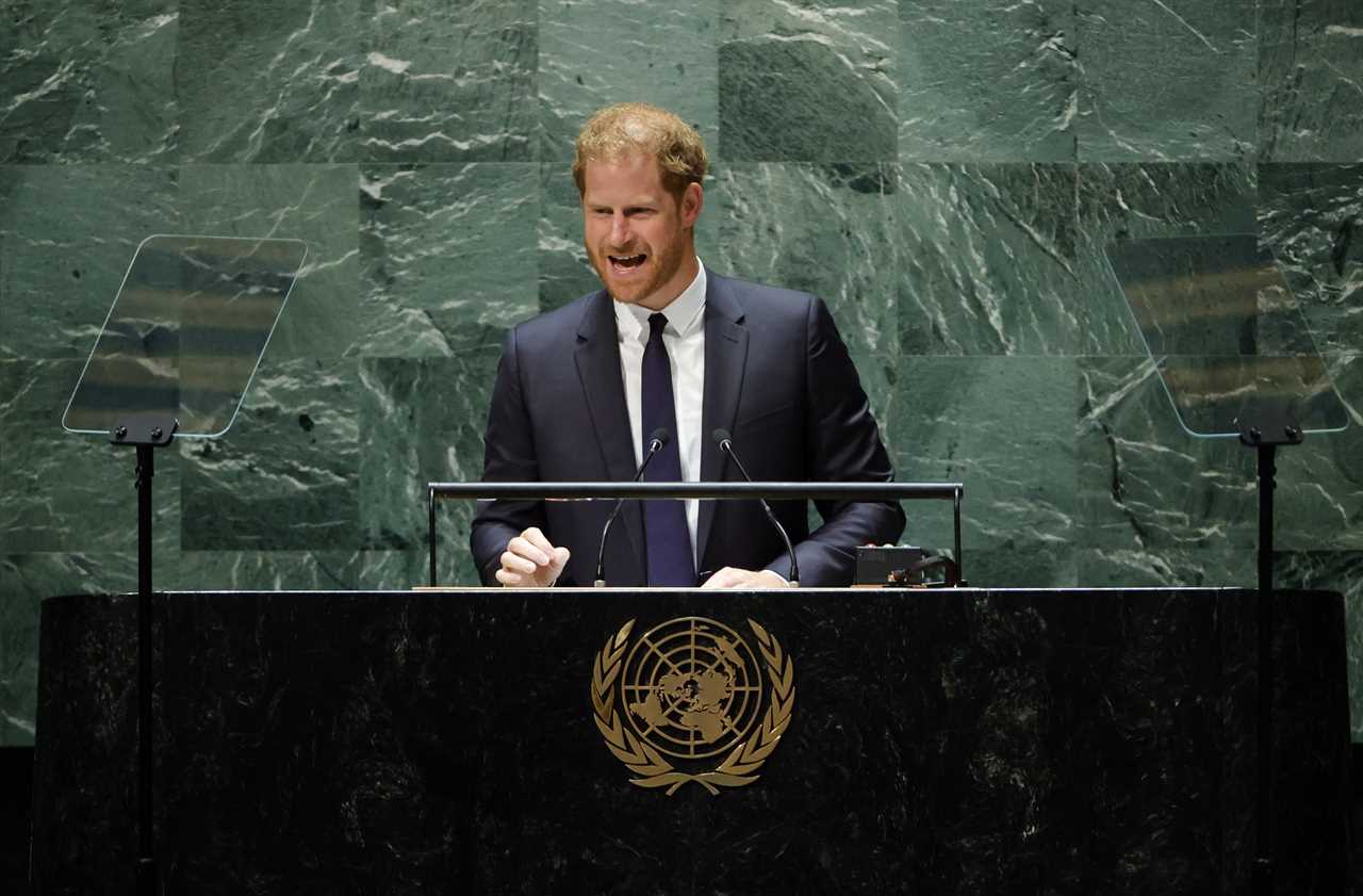 Meghan Markle & Prince Harry heckled as they arrive at UN to wade into politics – amid claims he only did talk for money