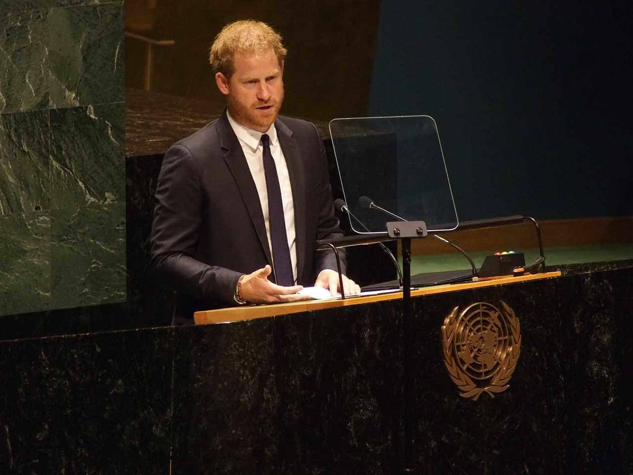 Harry discussed how we can learn from Mandela's legacy in an impassioned speech 