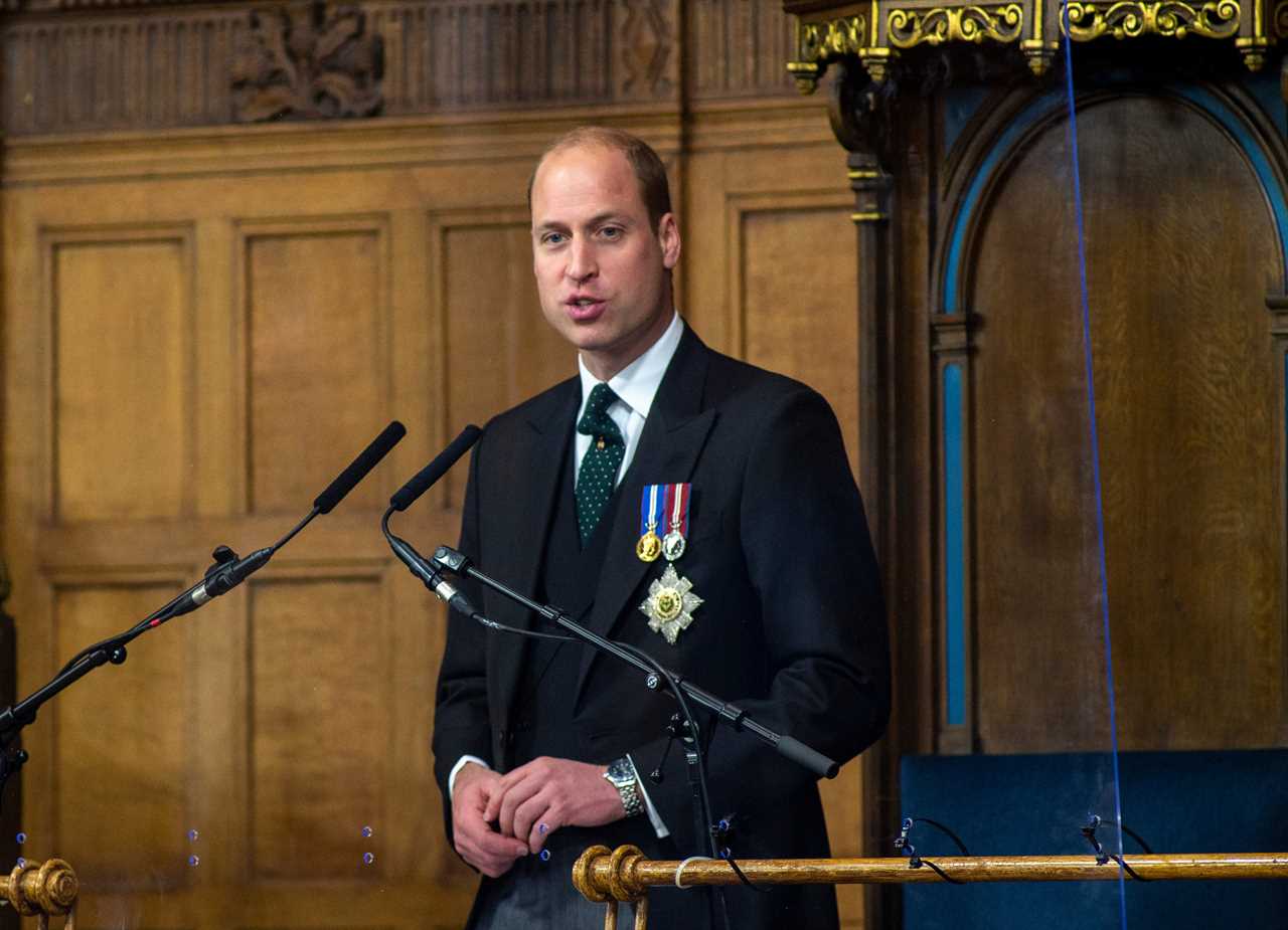 Prince Harry accused of ‘copying and pasting’ William’s speech when he addressed UN by fans