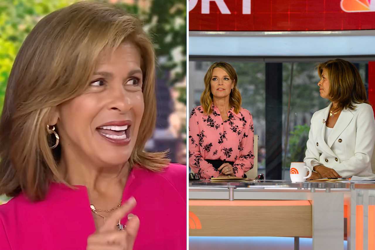 Inside Today stars Hoda Kotb and Savannah Guthrie’s nasty ‘feud’ as co-hosts drop ‘signs’ behind the smiles