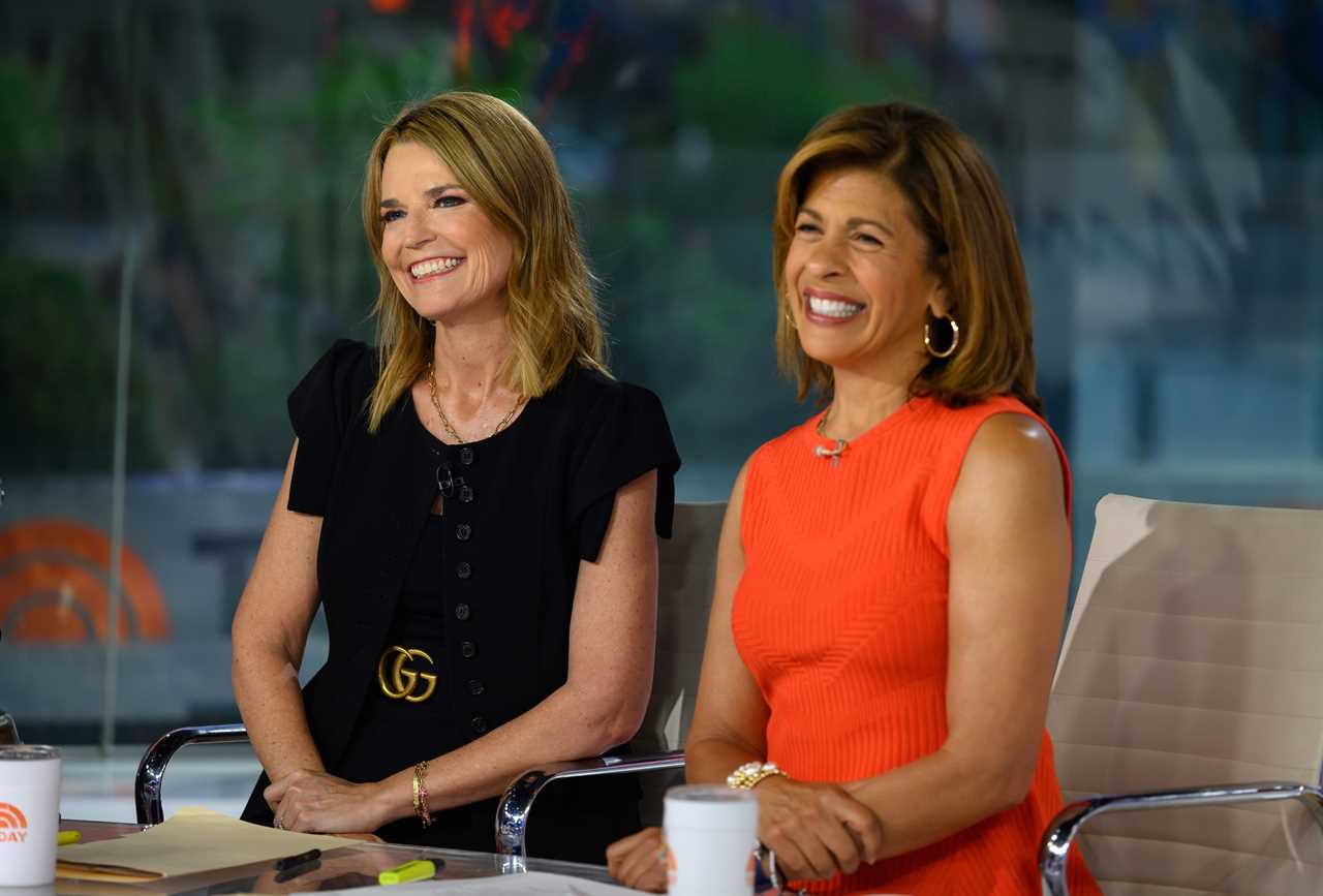 Inside Today stars Hoda Kotb and Savannah Guthrie’s nasty ‘feud’ as co-hosts drop ‘signs’ behind the smiles