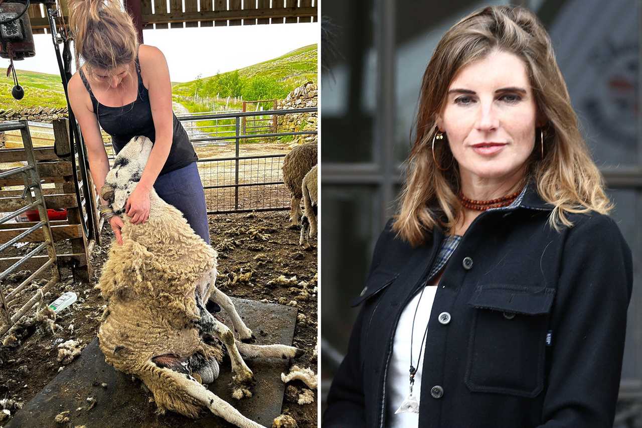 Our Yorkshire Farm’s Amanda Owen gives ‘challenging’ update from Ravenseat after split from husband