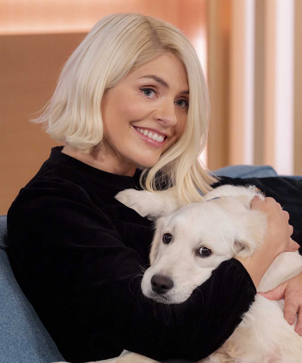 Holly Willoughby reveals bizarre home renovations for her beloved dog Bailey