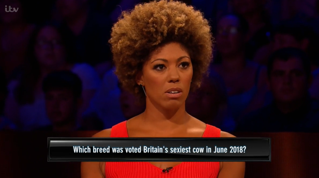 Tipping Point fans have the same complaint after ‘sexiest cow’ question leaves then stunned