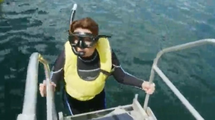 Jane McDonald terrified she’ll be eaten alive – gasping ‘this is it!’ as she plunges into the sea