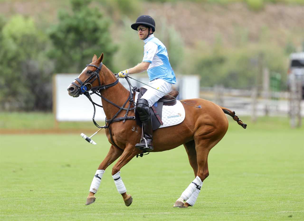 Jubilant Prince Harry lifts trophy after winning polo title with team in charity tournament where he scored hattrick