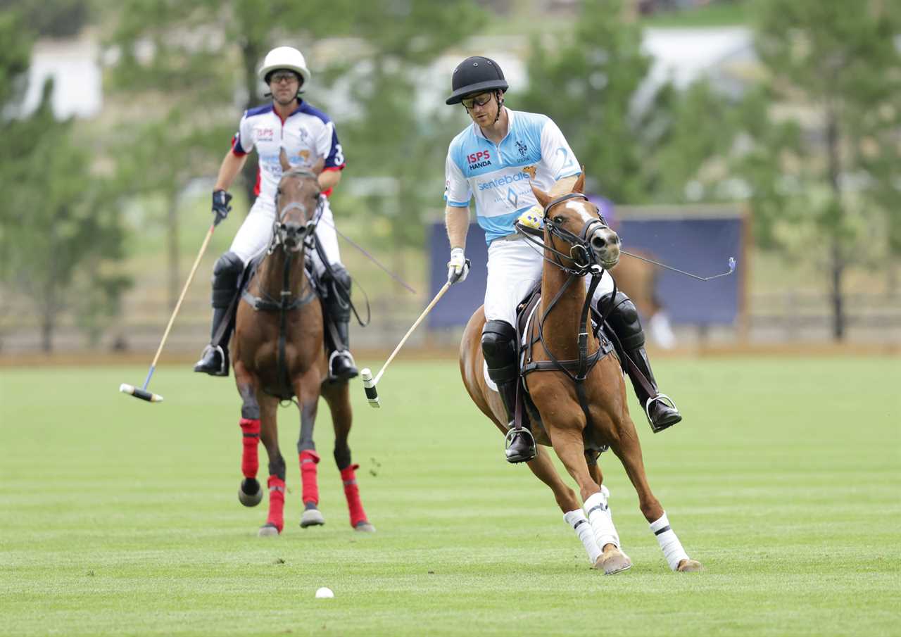 Prince Harry took private jet to polo tournament just a month after preaching that climate change was ‘wreaking havoc’