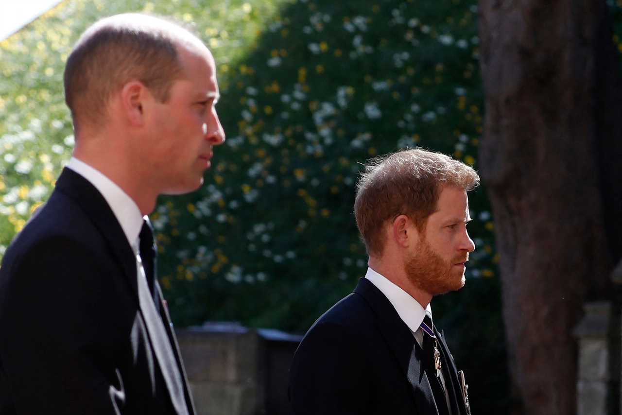 Prince Harry ‘slammed the phone down’ on William who ‘raced to confront him’ in heated row over Meghan Markle