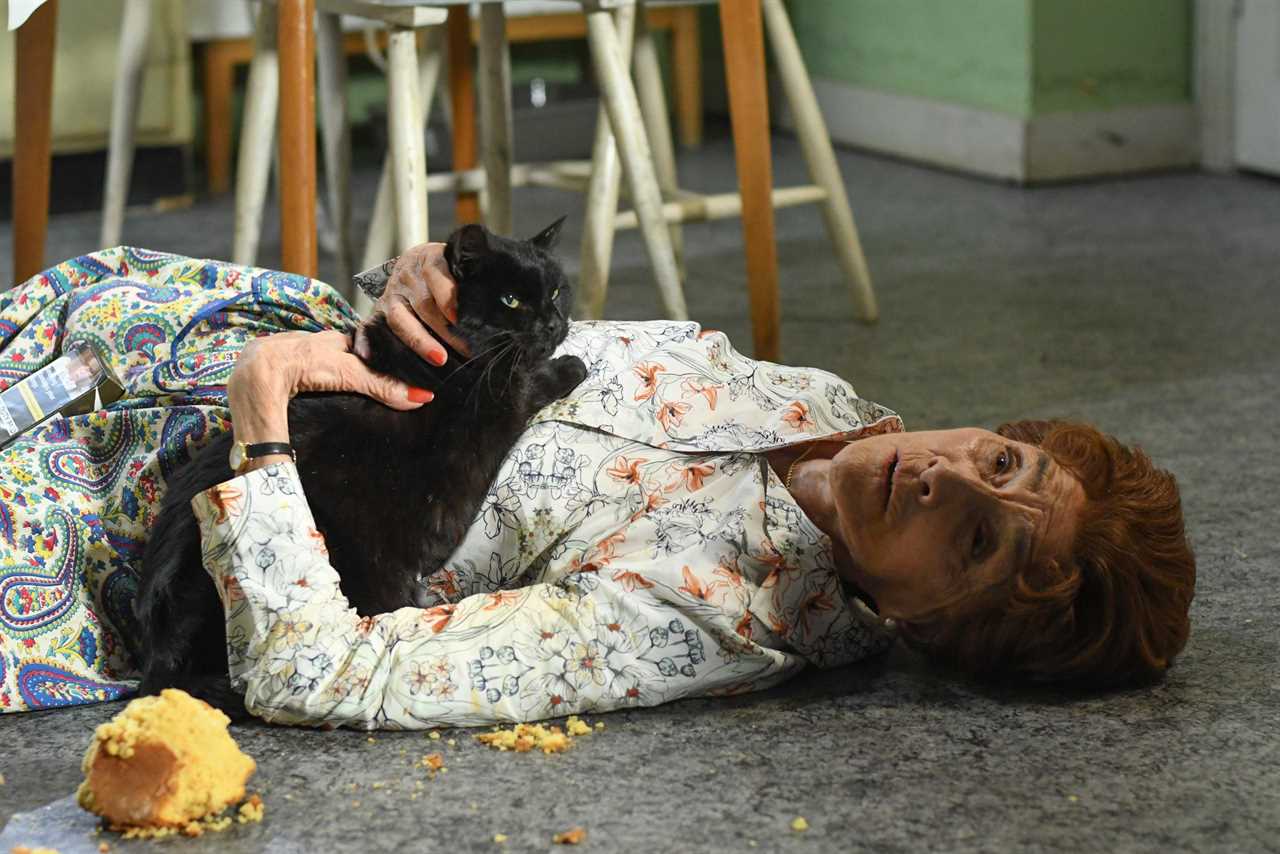 EastEnders Dot Branning left alone and in agony for days after she trips over her cat Dave