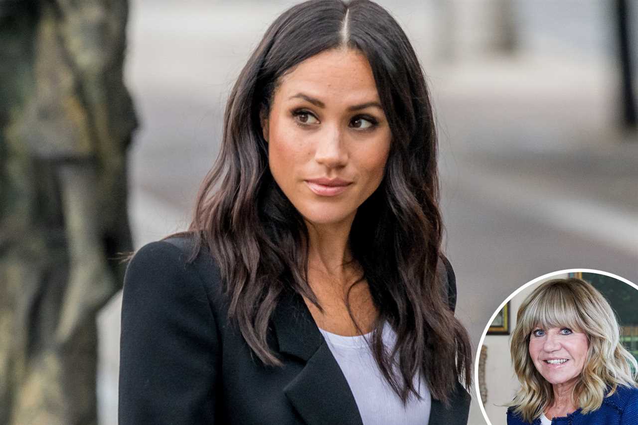 Meghan Markle blasted over apparent ‘unsubstantiated’ claim that British press called her children n-word