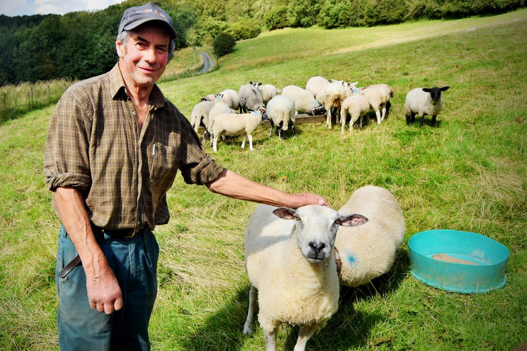 The Yorkshire Vet viewers breaks down in tears at birth scene ‘more emotional than One Born Every Minute’