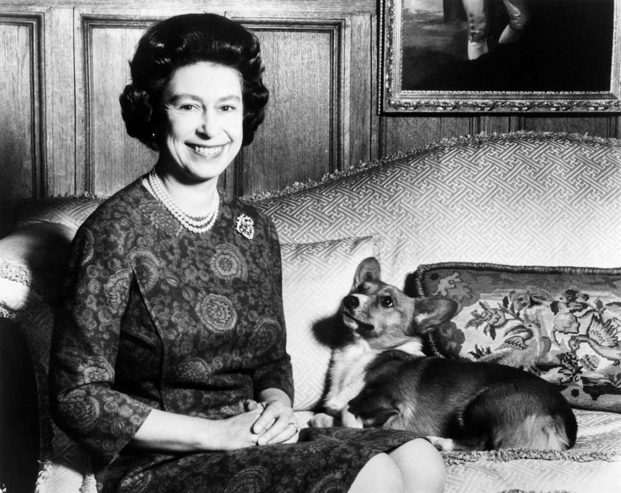 Where will the Queen’s corgis go after her tragic passing?