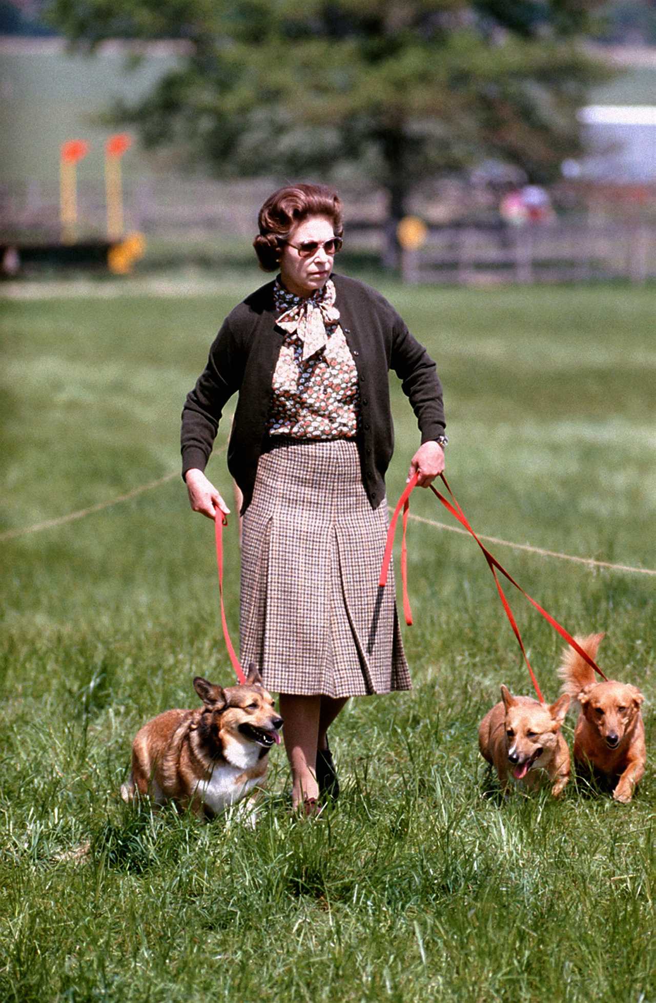 Where will the Queen’s corgis go after her tragic passing?