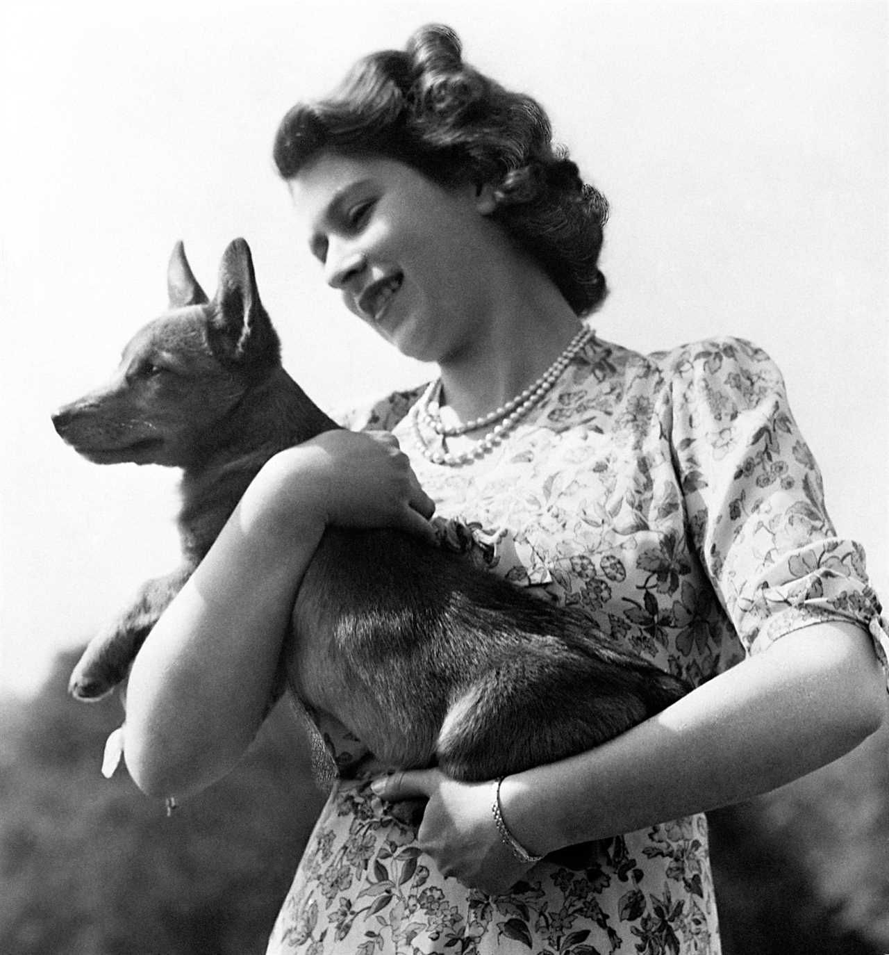 Where will the Queen’s corgis go after her tragic passing?